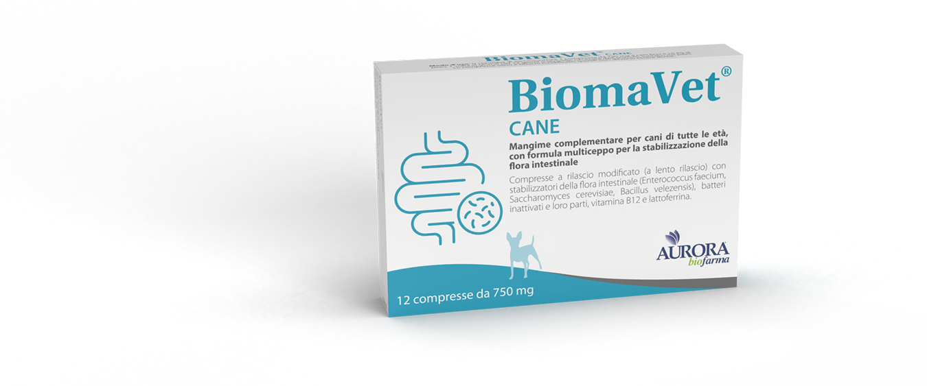 Biomavet perro 750 mg