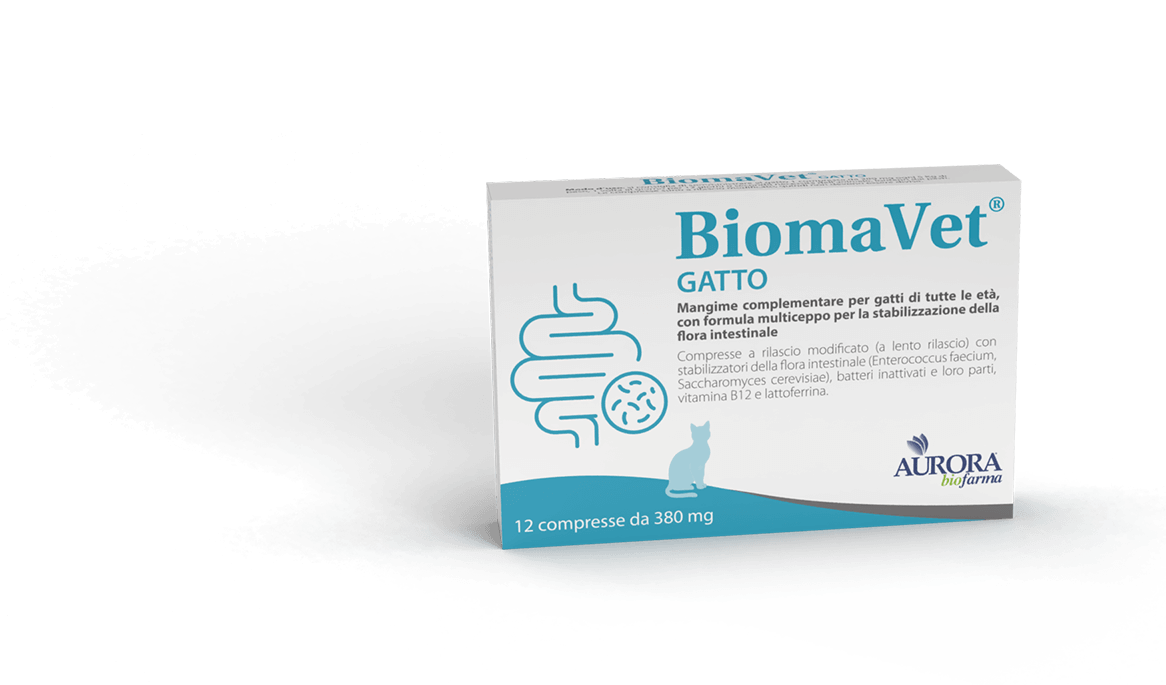 Biomavet gato 380 mg